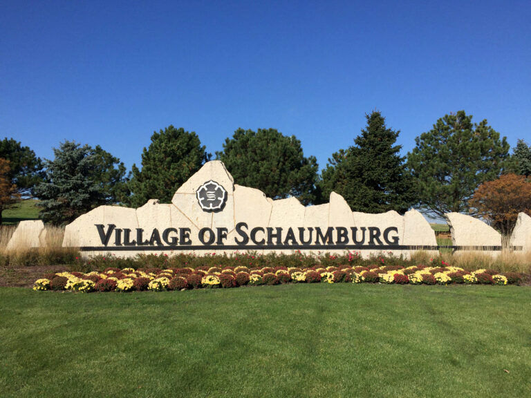 Computer repair in Schaumburg IL